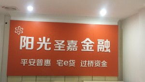 福建省莆田陽(yáng)光圣嘉金融服務(wù)外包公司 專業(yè)金融外包服務(wù)的領(lǐng)航者