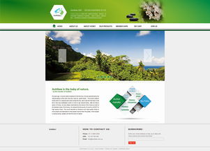 探秘網(wǎng)頁(yè)設(shè)計(jì)之美 從企業(yè)官網(wǎng)到ZCOOL社區(qū)