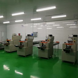 安徽無紡布口罩包裝機 高效、智能的紗布口罩自動包裝解決方案